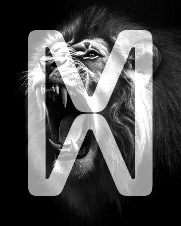 lion2